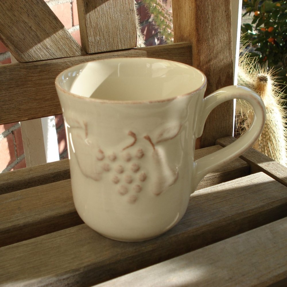 CASA STONE CUP by CASAFINA MADEIRA HARVEST Fine Portuguese Stoneware 9oz